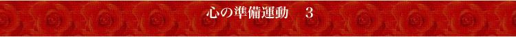 titlebar2b1